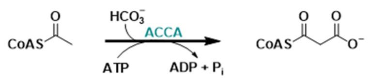 https://cdn.ncbi.nlm.nih.gov/pmc/blobs/2cdc/11085455/867599cf25e1/molecules-29-02110-g009.jpg