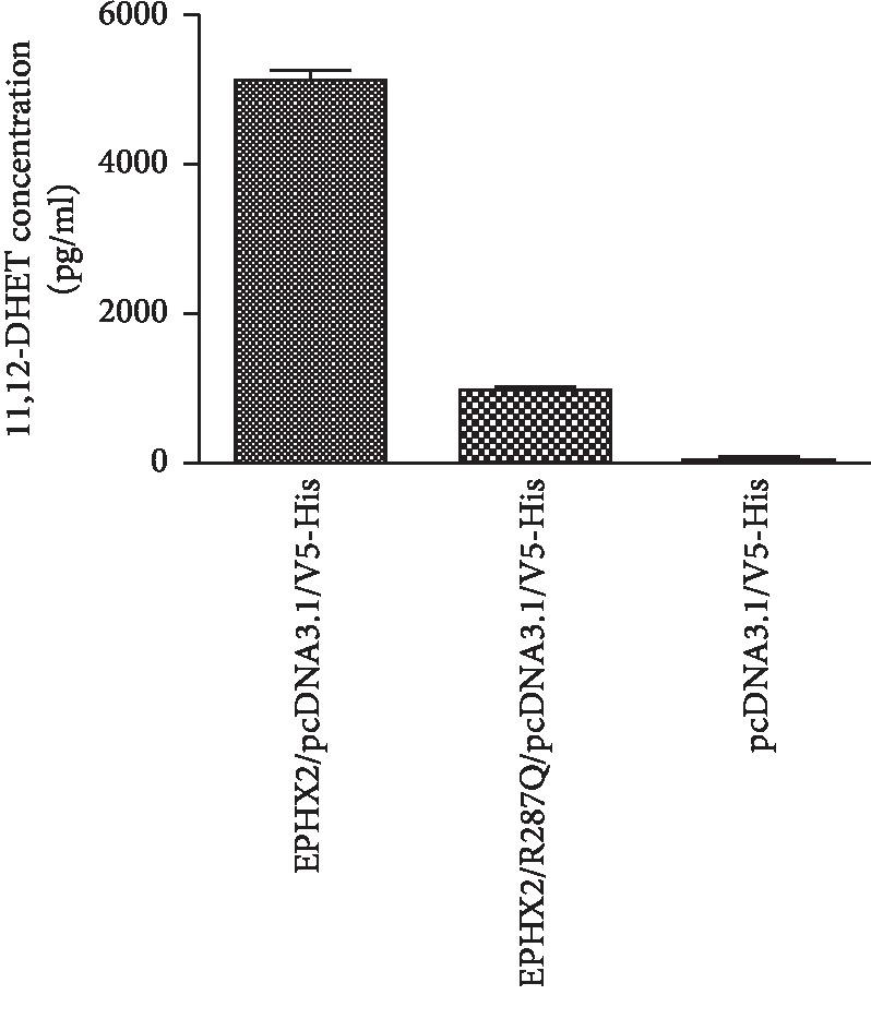 https://cdn.ncbi.nlm.nih.gov/pmc/blobs/2cdc/7064850/fb18e8a3d3c2/IJHY2020-2351547.002.jpg