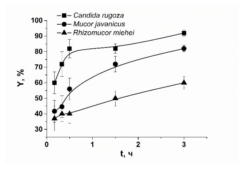 https://cdn.ncbi.nlm.nih.gov/pmc/blobs/2cdc/9573024/32f59b1f487a/polymers-14-04071-g001.jpg