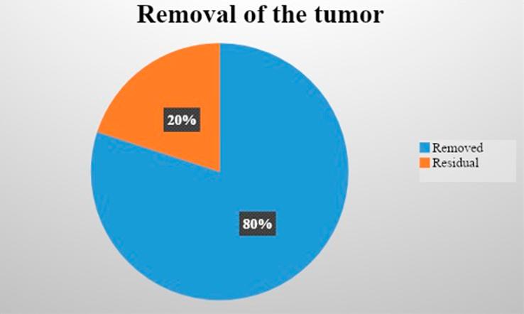 https://cdn.ncbi.nlm.nih.gov/pmc/blobs/2cdd/10990364/9363ddcc5ae4/ms9-86-1861-g001.jpg