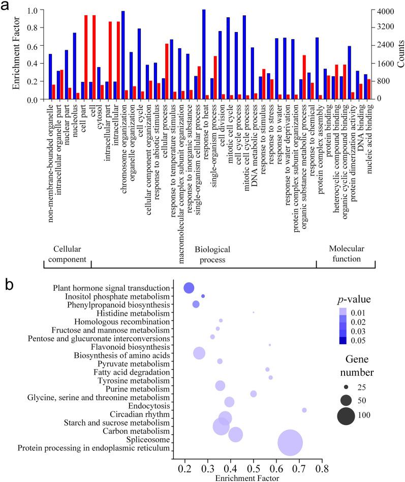 https://cdn.ncbi.nlm.nih.gov/pmc/blobs/2cde/9568513/11ff37bbe8a1/41598_2022_22195_Fig2_HTML.jpg