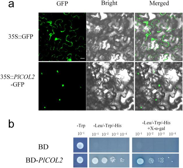 https://cdn.ncbi.nlm.nih.gov/pmc/blobs/2cde/9568513/bf4152d18e65/41598_2022_22195_Fig7_HTML.jpg