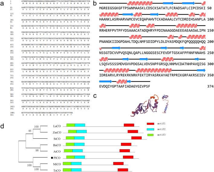 https://cdn.ncbi.nlm.nih.gov/pmc/blobs/2cde/9568513/c56397a76268/41598_2022_22195_Fig4_HTML.jpg
