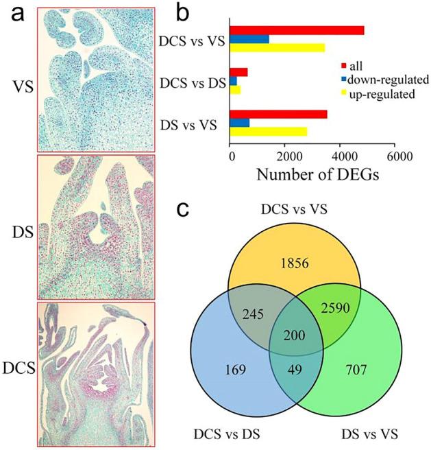 https://cdn.ncbi.nlm.nih.gov/pmc/blobs/2cde/9568513/c6dd74d8e9cc/41598_2022_22195_Fig1_HTML.jpg