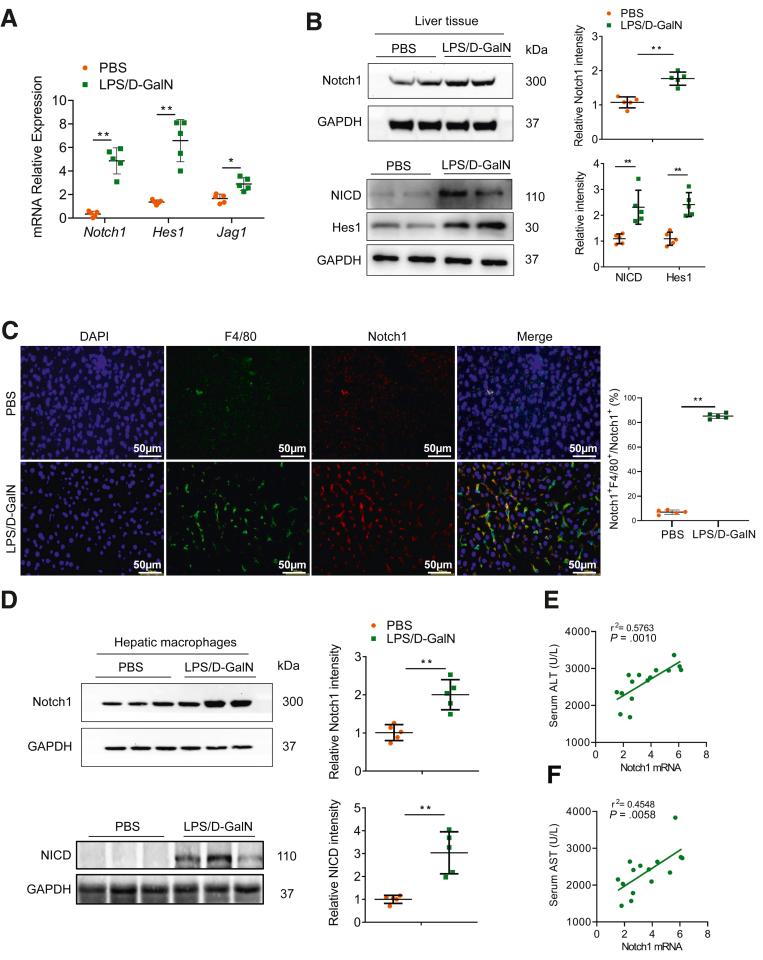https://cdn.ncbi.nlm.nih.gov/pmc/blobs/2ce0/10036742/38f47ef5fe76/gr1.jpg