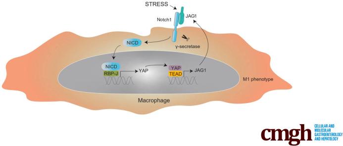 https://cdn.ncbi.nlm.nih.gov/pmc/blobs/2ce0/10036742/3bd2674cd3f5/fx1.jpg