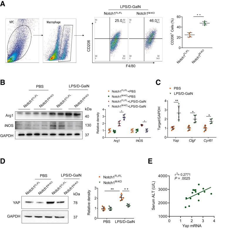 https://cdn.ncbi.nlm.nih.gov/pmc/blobs/2ce0/10036742/ed8876cae0eb/gr4.jpg