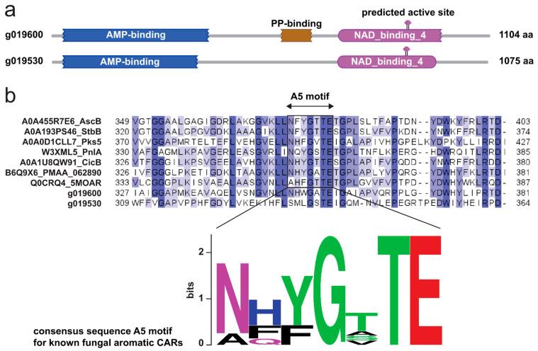 https://cdn.ncbi.nlm.nih.gov/pmc/blobs/2ce1/11643632/148e4cf4c954/molecules-29-05576-g004.jpg