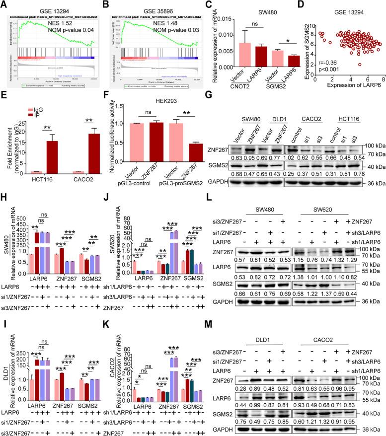 https://cdn.ncbi.nlm.nih.gov/pmc/blobs/2ce6/9872320/1bff7372ead9/13046_2023_2605_Fig5_HTML.jpg