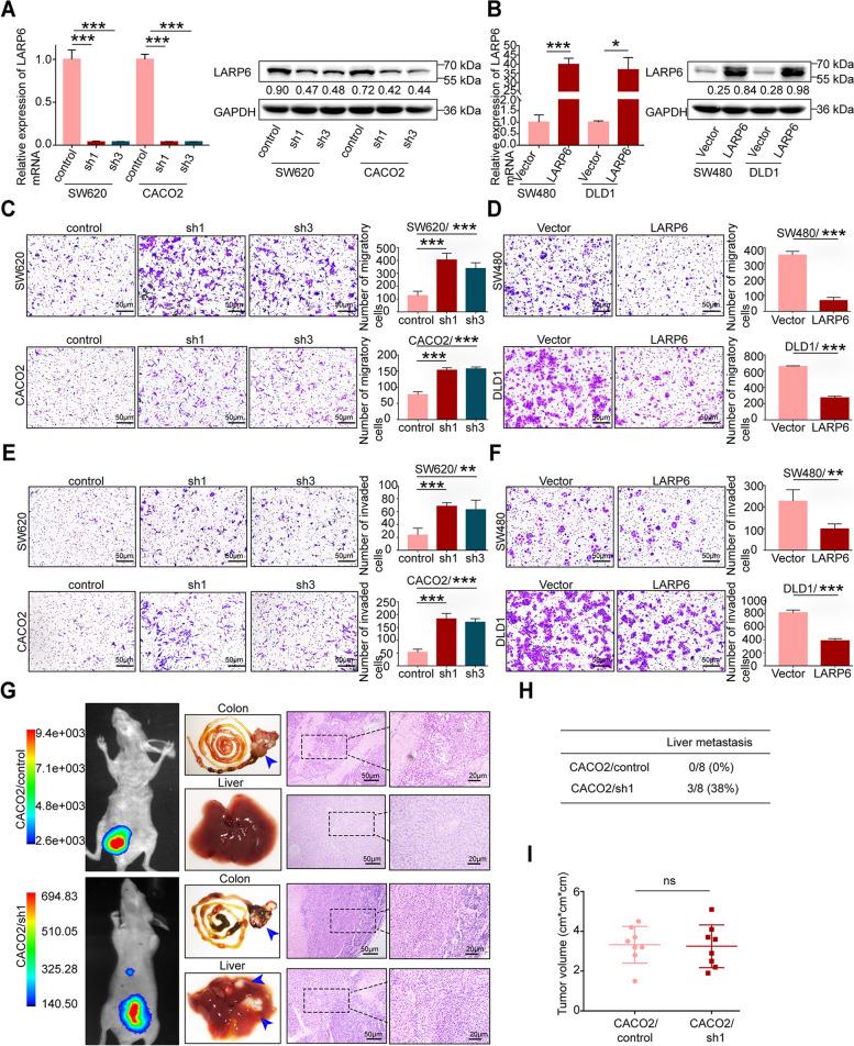https://cdn.ncbi.nlm.nih.gov/pmc/blobs/2ce6/9872320/5c71f555e229/13046_2023_2605_Fig2_HTML.jpg