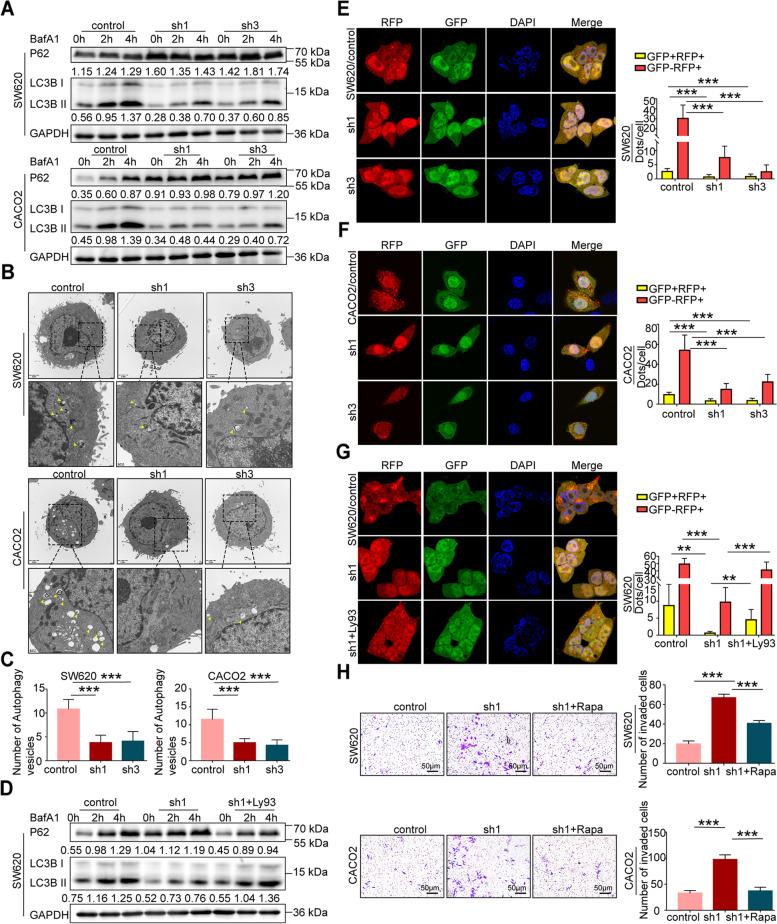 https://cdn.ncbi.nlm.nih.gov/pmc/blobs/2ce6/9872320/5f19eea1e6f9/13046_2023_2605_Fig7_HTML.jpg