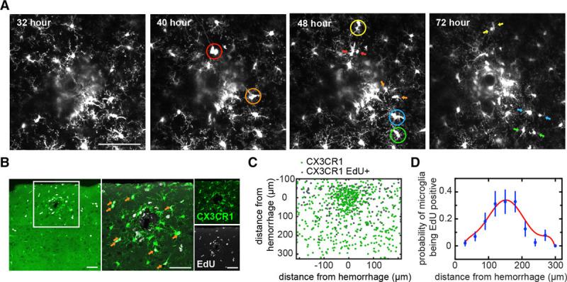 https://cdn.ncbi.nlm.nih.gov/pmc/blobs/2ce7/6023576/f2c06a36f4ee/str-49-1719-g004.jpg