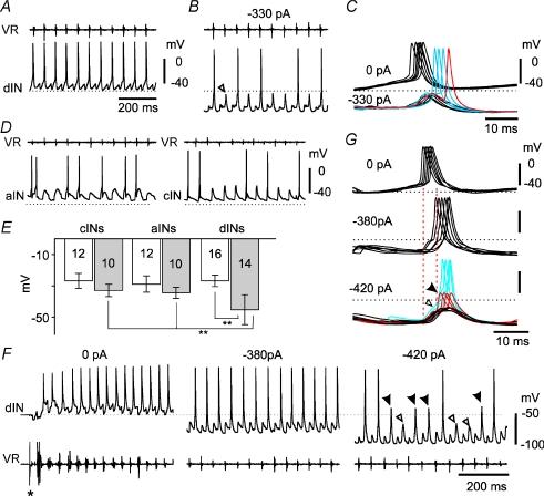 https://cdn.ncbi.nlm.nih.gov/pmc/blobs/2ce8/2683956/64fe43d48b99/tjp0587-1677-f3.jpg
