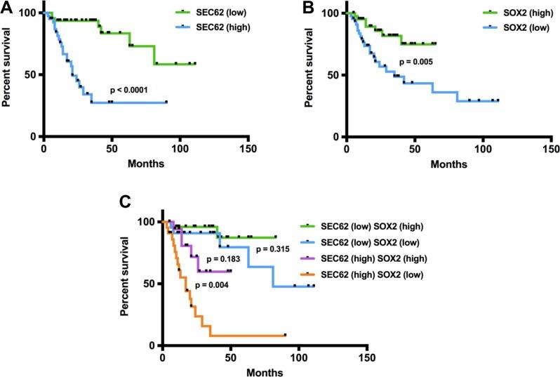 https://cdn.ncbi.nlm.nih.gov/pmc/blobs/2ce8/5354881/53724bd21166/oncotarget-08-4922-g006.jpg