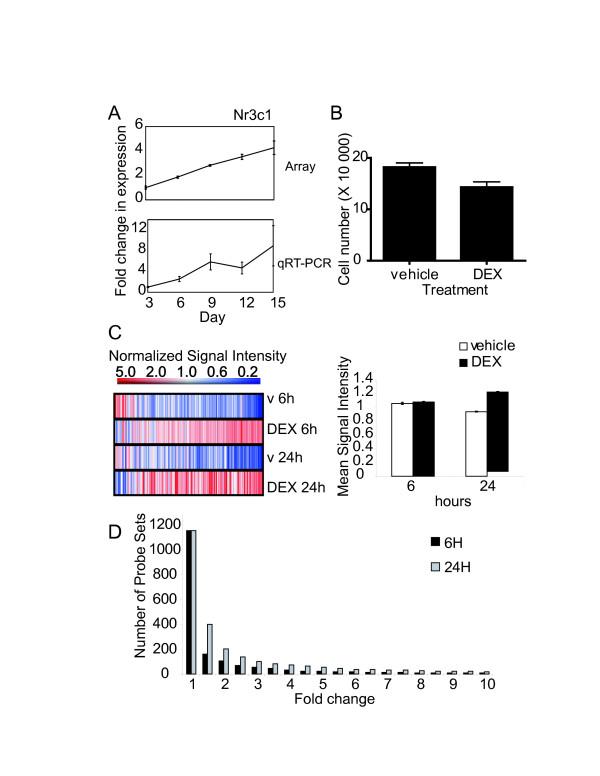 https://cdn.ncbi.nlm.nih.gov/pmc/blobs/2ce9/1929075/2fd19111b545/1471-2164-8-205-1.jpg
