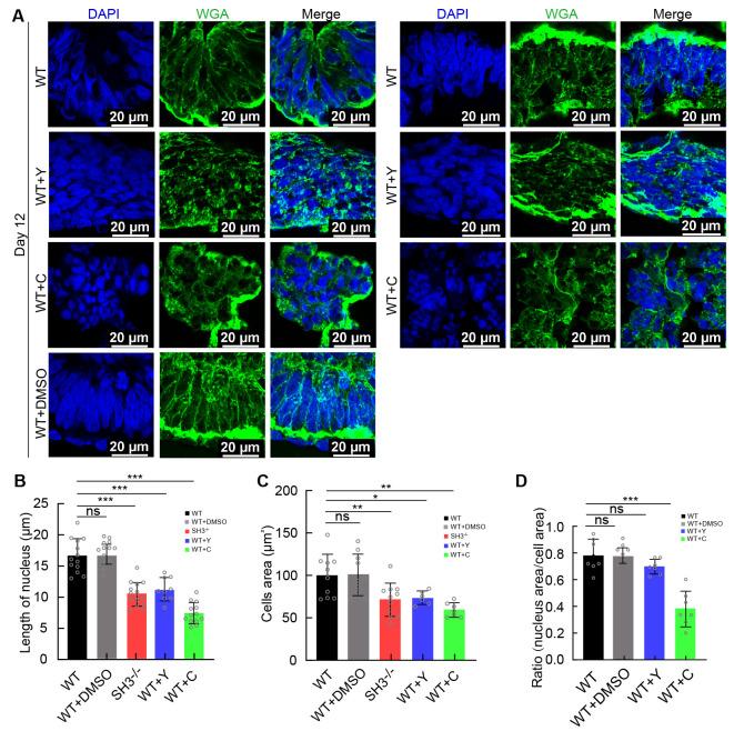https://cdn.ncbi.nlm.nih.gov/pmc/blobs/2ceb/11017078/6d7239a6824f/zr-45-2-233-5.jpg