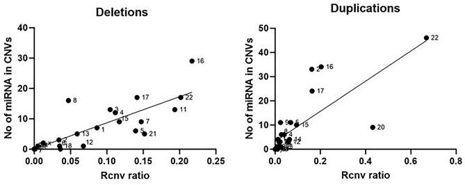 https://cdn.ncbi.nlm.nih.gov/pmc/blobs/2cec/9587983/55b1e3d0a1ce/41598_2022_22749_Fig6_HTML.jpg