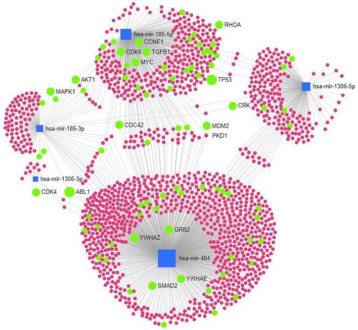 https://cdn.ncbi.nlm.nih.gov/pmc/blobs/2cec/9587983/9f2404aea4f3/41598_2022_22749_Fig2_HTML.jpg