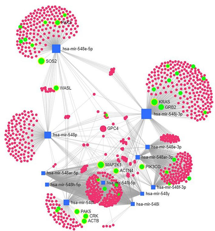 https://cdn.ncbi.nlm.nih.gov/pmc/blobs/2cec/9587983/e7b9ed355cf8/41598_2022_22749_Fig3_HTML.jpg