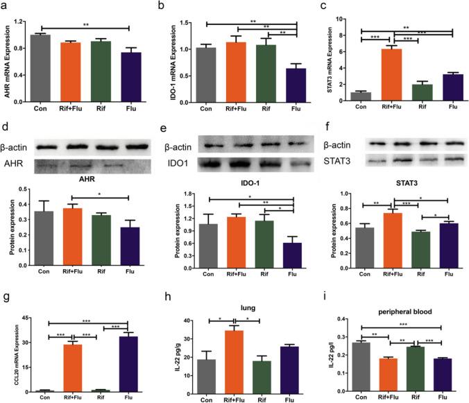 https://cdn.ncbi.nlm.nih.gov/pmc/blobs/2ced/11413070/e2b577203daa/253_2024_13280_Fig7_HTML.jpg