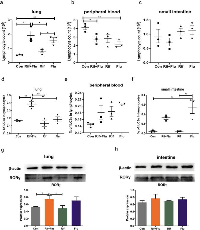 https://cdn.ncbi.nlm.nih.gov/pmc/blobs/2ced/11413070/e8e492970f00/253_2024_13280_Fig6_HTML.jpg
