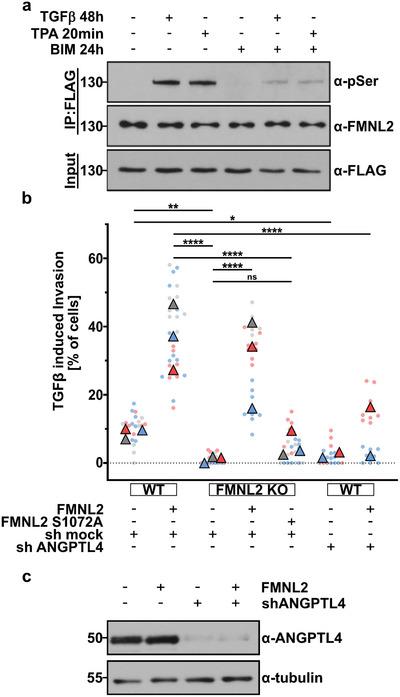 https://cdn.ncbi.nlm.nih.gov/pmc/blobs/2cef/10037683/109acda3563c/ADVS-10-2204896-g006.jpg