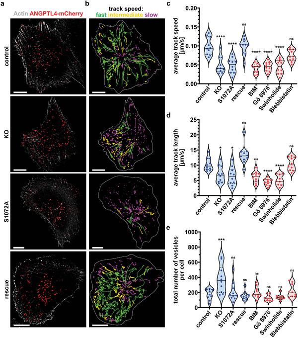 https://cdn.ncbi.nlm.nih.gov/pmc/blobs/2cef/10037683/2d483eb1dd44/ADVS-10-2204896-g001.jpg