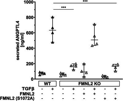 https://cdn.ncbi.nlm.nih.gov/pmc/blobs/2cef/10037683/6450b6e3288e/ADVS-10-2204896-g005.jpg