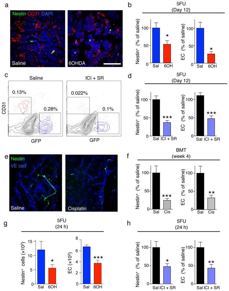 https://cdn.ncbi.nlm.nih.gov/pmc/blobs/2cef/3964478/e451b606d5e1/nihms454927f4.jpg