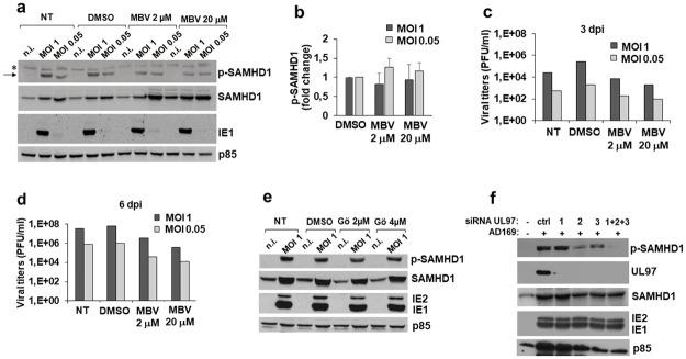 https://cdn.ncbi.nlm.nih.gov/pmc/blobs/2cef/7544099/202227fa92cf/ppat.1008855.g005.jpg