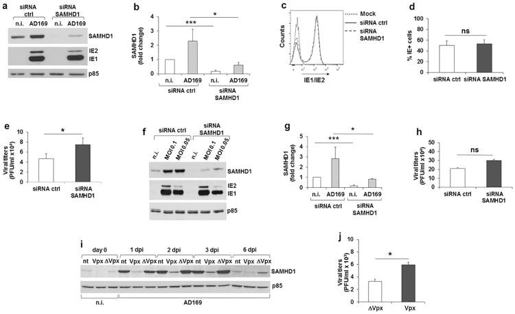 https://cdn.ncbi.nlm.nih.gov/pmc/blobs/2cef/7544099/f0eb43700eb9/ppat.1008855.g003.jpg