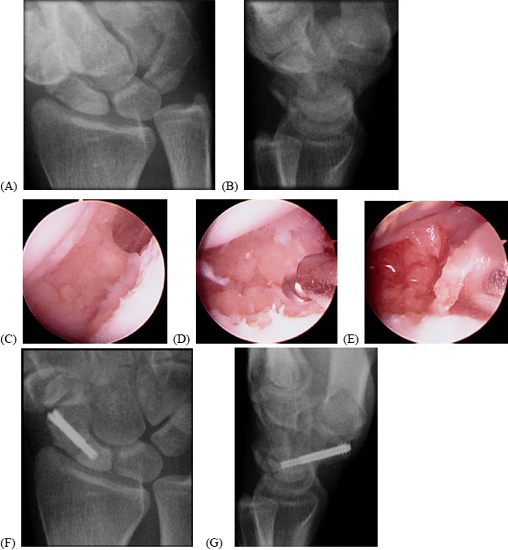 https://cdn.ncbi.nlm.nih.gov/pmc/blobs/2cf1/9942390/e0143eb93d03/13018_2023_3609_Fig2_HTML.jpg