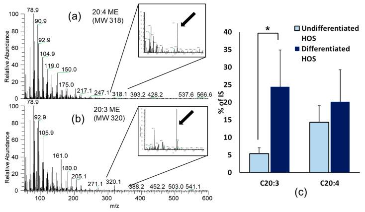 https://cdn.ncbi.nlm.nih.gov/pmc/blobs/2cf3/7912392/f452957520d6/cells-10-00269-g008.jpg
