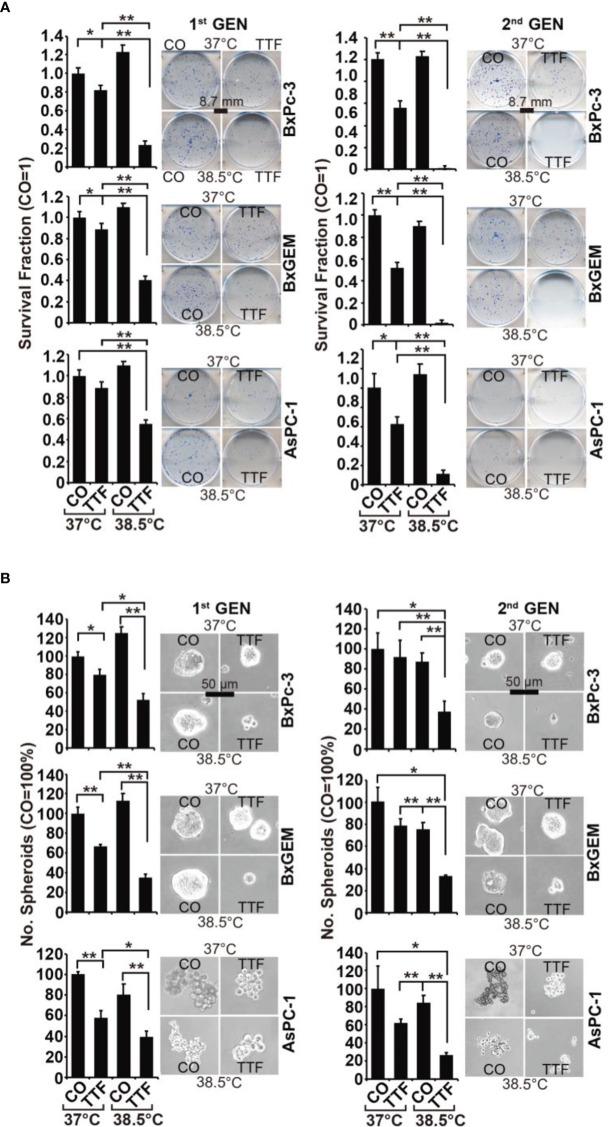 https://cdn.ncbi.nlm.nih.gov/pmc/blobs/2cf4/8597267/484d409f4360/fonc-11-738801-g002.jpg
