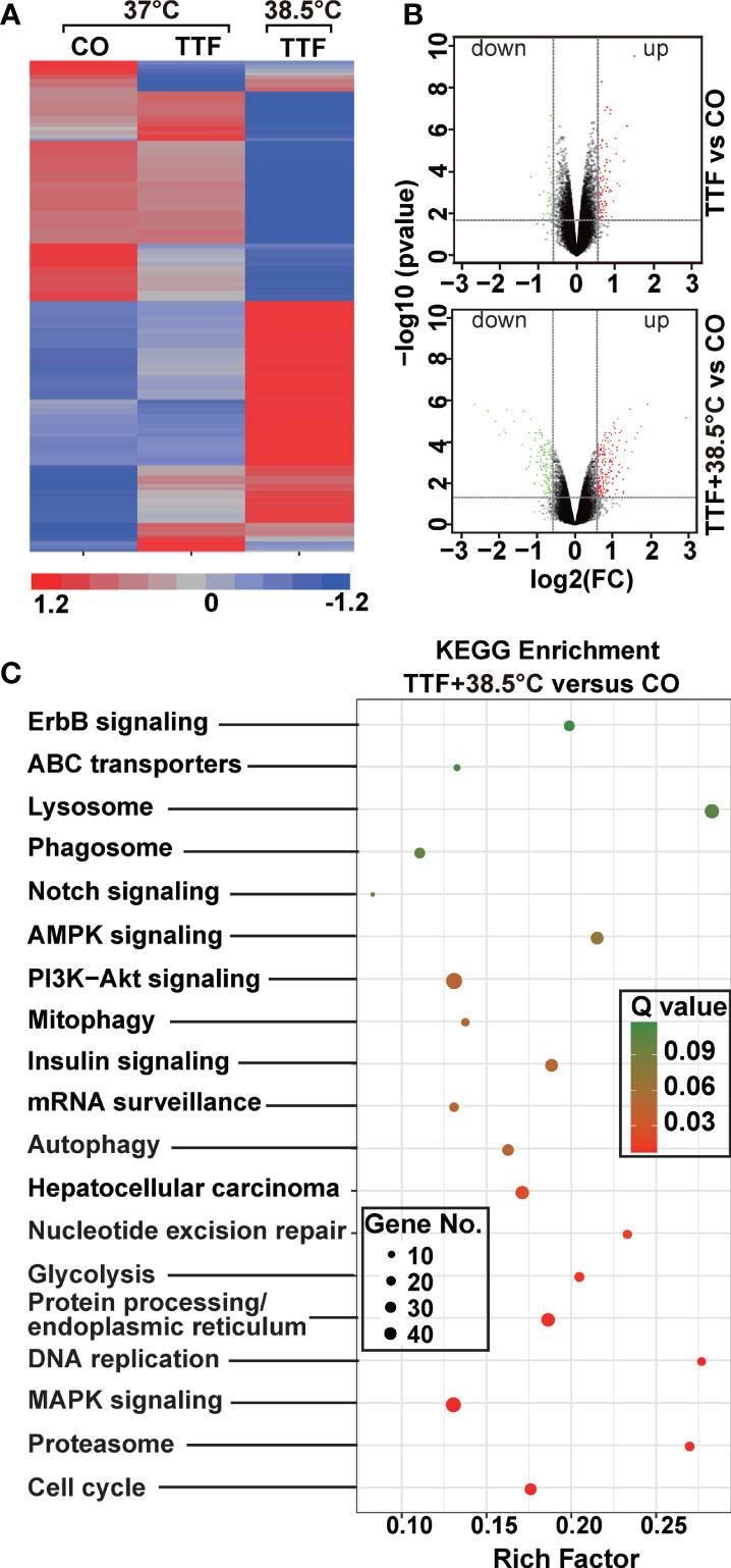 https://cdn.ncbi.nlm.nih.gov/pmc/blobs/2cf4/8597267/d8084ba63565/fonc-11-738801-g004.jpg