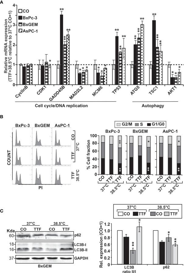 https://cdn.ncbi.nlm.nih.gov/pmc/blobs/2cf4/8597267/dd88069e4e09/fonc-11-738801-g006.jpg