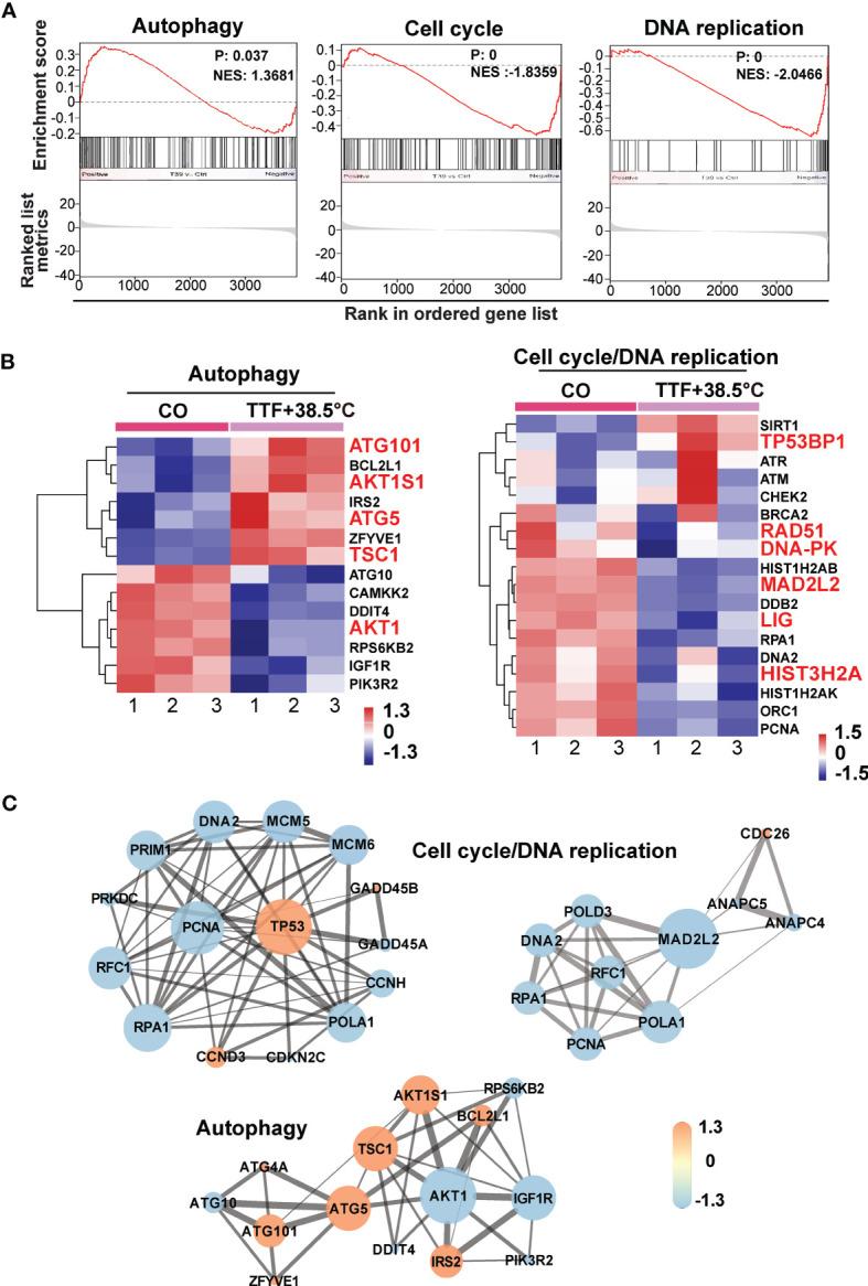 https://cdn.ncbi.nlm.nih.gov/pmc/blobs/2cf4/8597267/fc509a4825a9/fonc-11-738801-g005.jpg