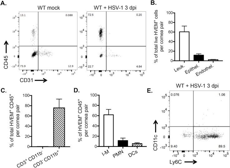 https://cdn.ncbi.nlm.nih.gov/pmc/blobs/2cfc/5256684/801c8610200d/i1552-5783-58-1-282-f02.jpg