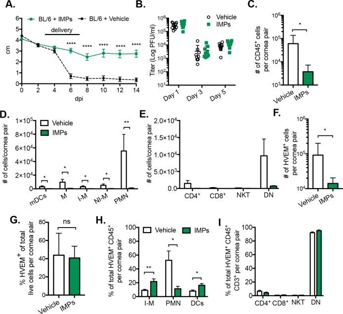 https://cdn.ncbi.nlm.nih.gov/pmc/blobs/2cfc/5256684/ae0a5c3b121f/i1552-5783-58-1-282-f05.jpg