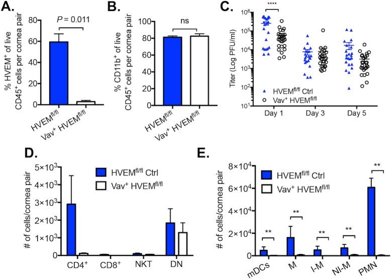 https://cdn.ncbi.nlm.nih.gov/pmc/blobs/2cfc/5256684/b5979dc9a906/i1552-5783-58-1-282-f04.jpg