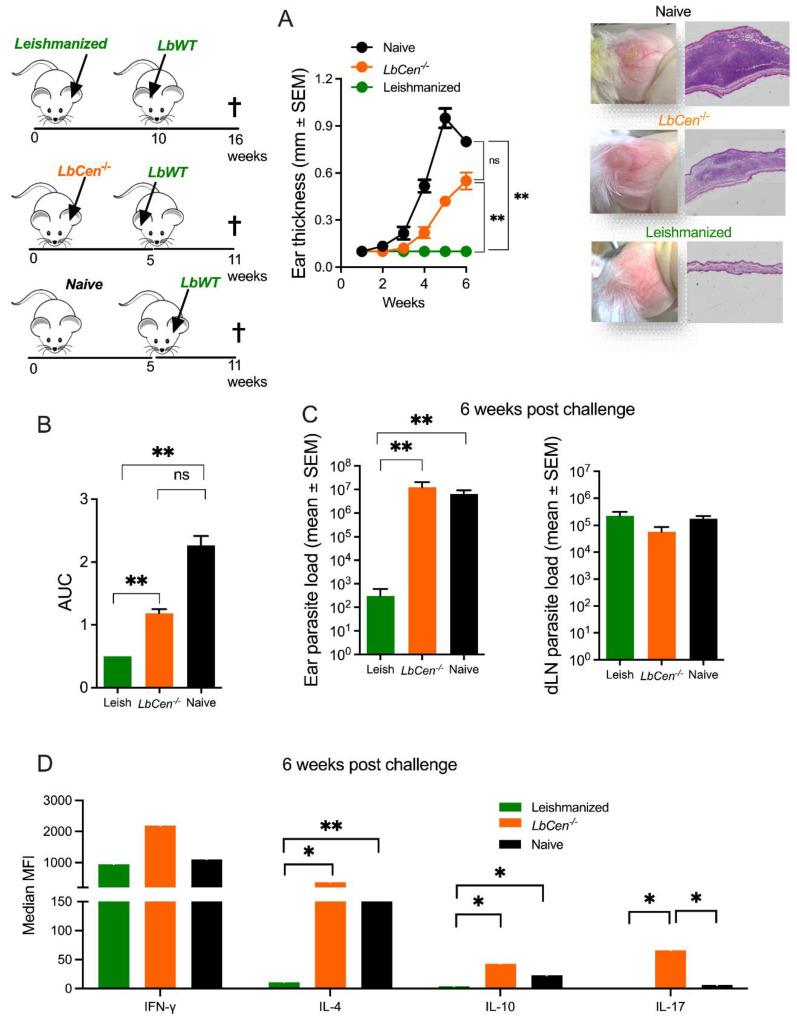 https://cdn.ncbi.nlm.nih.gov/pmc/blobs/2cfd/10974367/cfee7578b20f/vaccines-12-00310-g006.jpg
