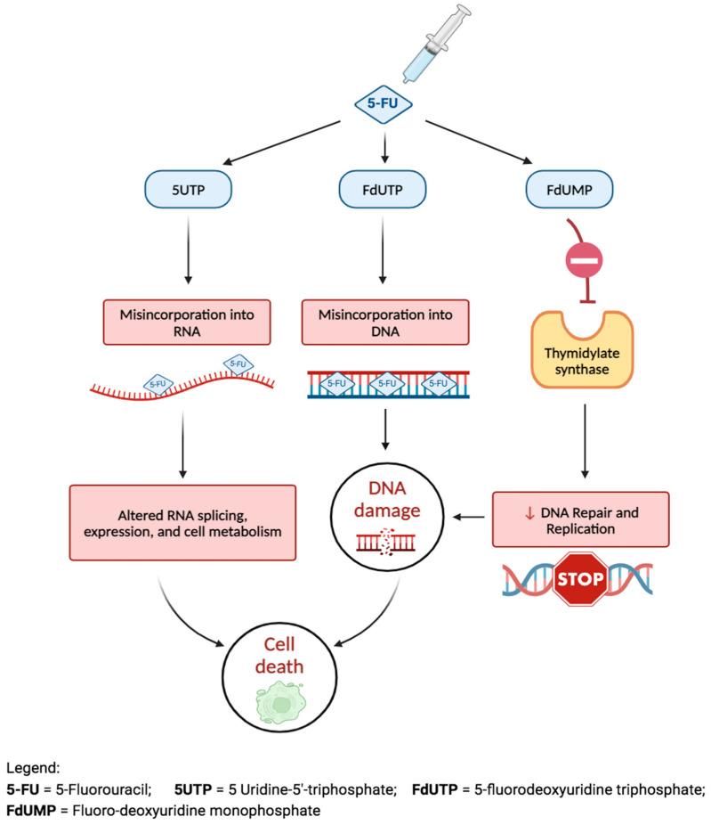 https://cdn.ncbi.nlm.nih.gov/pmc/blobs/2cff/11117829/b6410dd5762e/bioengineering-11-00446-g009.jpg