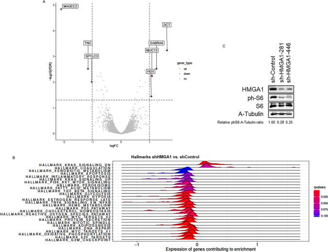 https://cdn.ncbi.nlm.nih.gov/pmc/blobs/2d01/11101398/25ed2179107a/18_2024_5250_Fig4_HTML.jpg