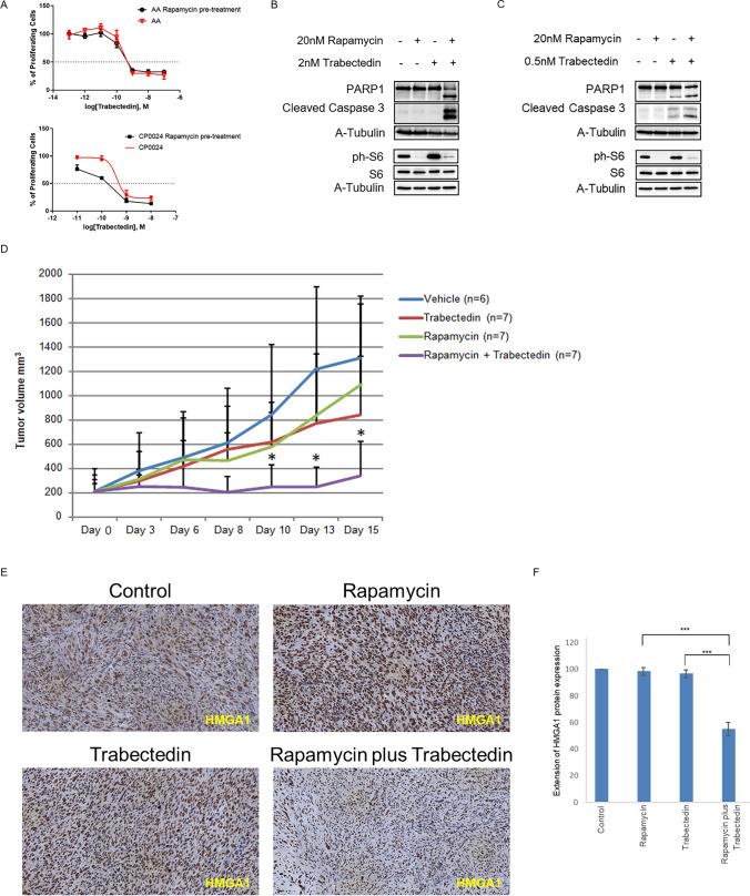 https://cdn.ncbi.nlm.nih.gov/pmc/blobs/2d01/11101398/c8e967b786ef/18_2024_5250_Fig5_HTML.jpg