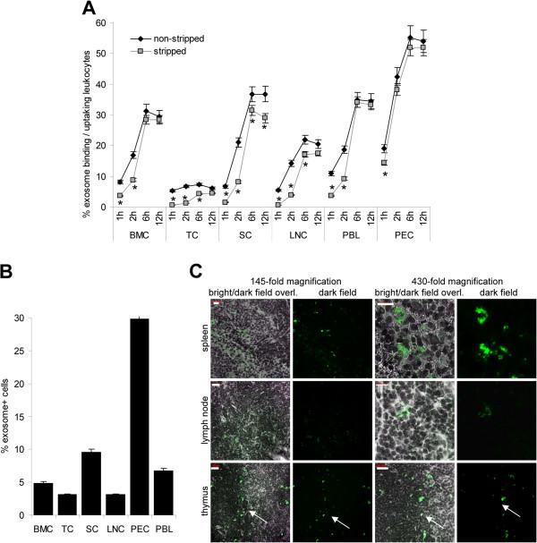 https://cdn.ncbi.nlm.nih.gov/pmc/blobs/2d01/3519567/c58c2a38866e/1478-811X-10-37-1.jpg