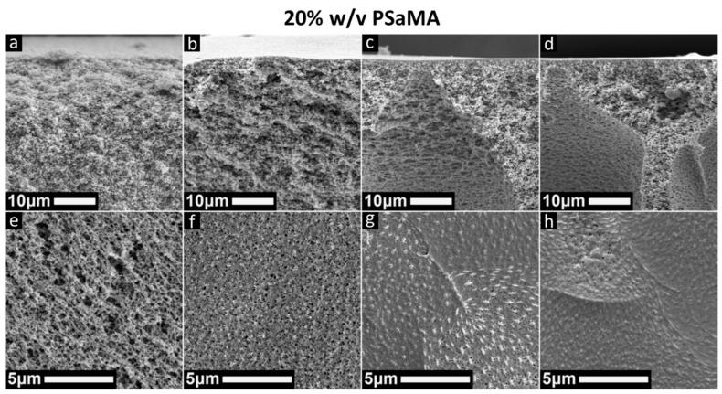 https://cdn.ncbi.nlm.nih.gov/pmc/blobs/2d02/8198088/b630b5538567/polymers-13-01775-g001.jpg