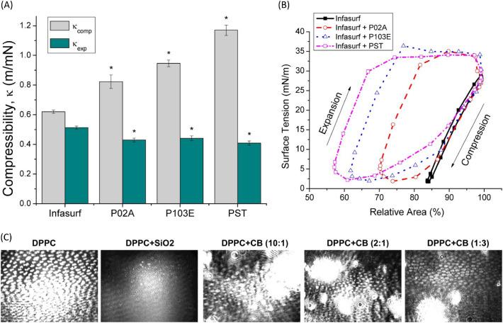 https://cdn.ncbi.nlm.nih.gov/pmc/blobs/2d03/7435289/b3a78d04786a/gr10_lrg.jpg