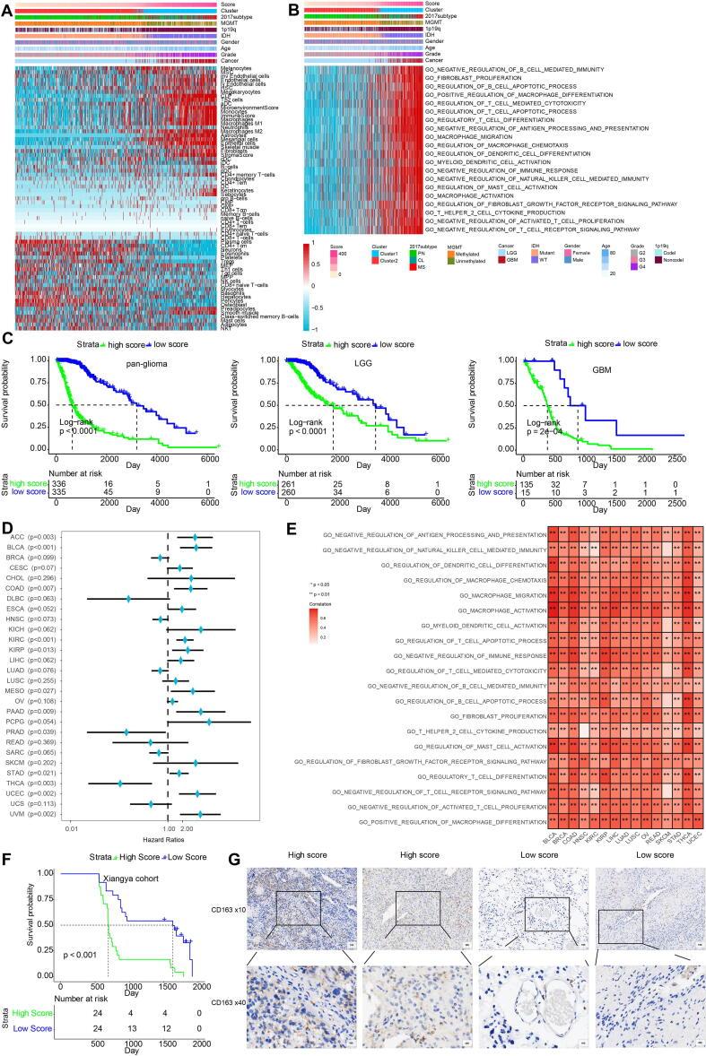 https://cdn.ncbi.nlm.nih.gov/pmc/blobs/2d03/8383063/75ba016aaa44/gr5.jpg