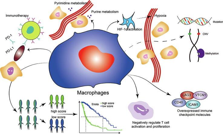 https://cdn.ncbi.nlm.nih.gov/pmc/blobs/2d03/8383063/811d3048a7b6/ga1.jpg