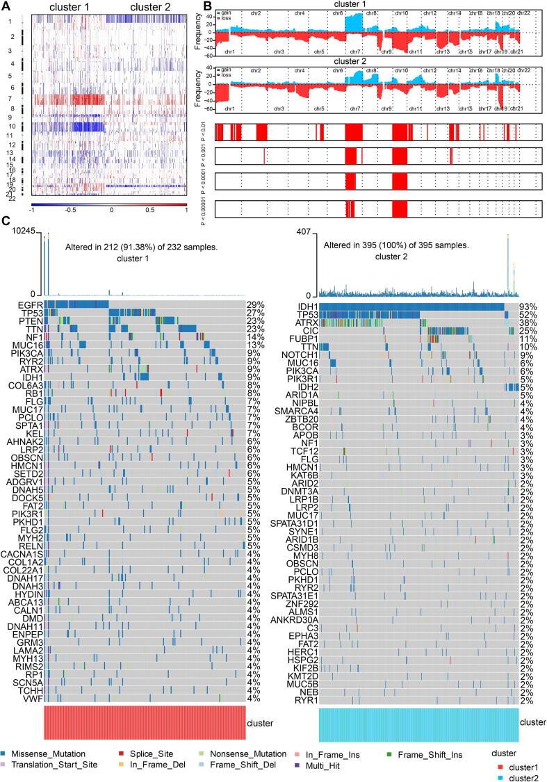 https://cdn.ncbi.nlm.nih.gov/pmc/blobs/2d03/8383063/a64949902e4e/gr3.jpg